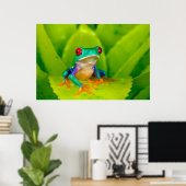 Red-eyed tree frog, Costa Rica Poster (Heimbüro)