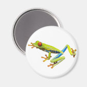 Red eyed tree frog magnet (Vorderseite/Rückseite)
