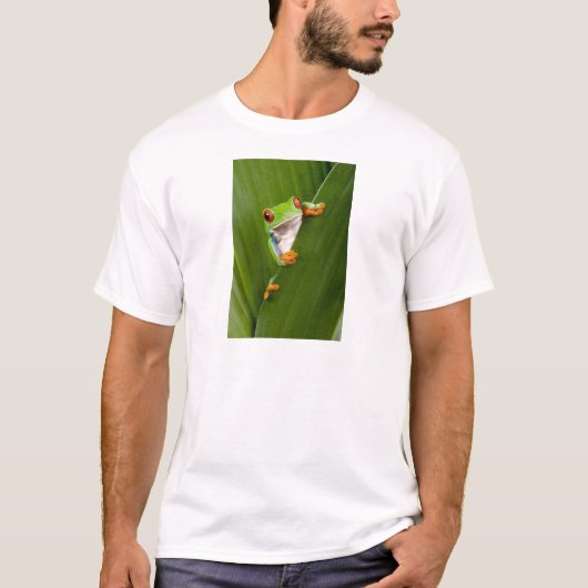 Red eyed tree frog T-Shirt (Vorderseite)