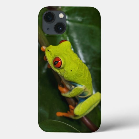 Red Eyes Frog On Stem Case-Mate iPhone Hülle (Rückseite)