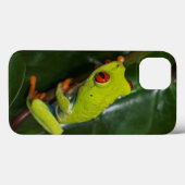 Red Eyes Frog On Stem Case-Mate iPhone Hülle (Rückseite (Horizontal))