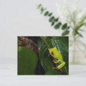 Red Eyes Frog On Stem Postkarte (Stehend Vorderseite)