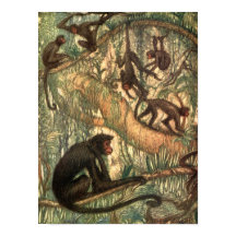 Red Faced Spider Monkeys von Louis Sargent