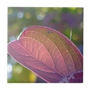 Red Fall Leaf und Bokeh Fliese