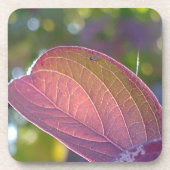 Red Fall Leaf und Bokeh Getränkeuntersetzer (Vorderseite)