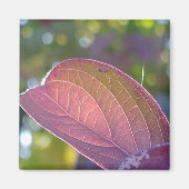 Red Fall Leaf und Bokeh Magnet (Vorne)