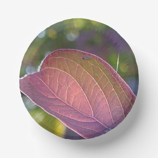 Red Fall Leaf und Bokeh Pappteller (Vorderseite)