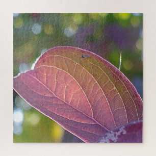 Red Fall Leaf und Bokeh Puzzle