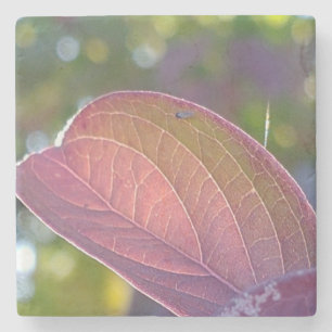 Red Fall Leaf und Bokeh Steinuntersetzer