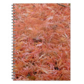 Red Fallen Autumn den Editor verlassen Notizblock (Vorderseite)