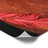 Red Feather Poster (Ecke)