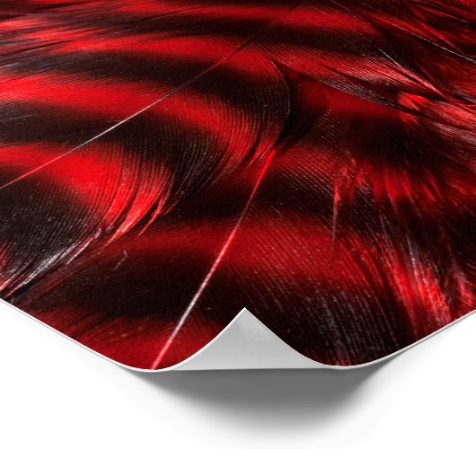 Red Feathers Poster (Ecke)