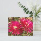 Red Fig Marigold Postcard Postkarte (Stehend Vorderseite)