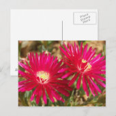 Red Fig Marigold Postcard Postkarte (Vorne/Hinten)
