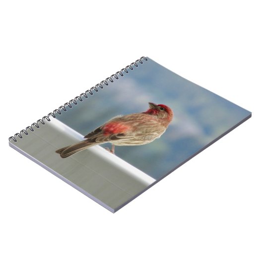 Red Finch Checking out the View. Notizblock (Linke Seite)