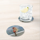 Red Finch Checking out the View. Runder Pappuntersetzer (Vor Ort)