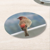 Red Finch Checking out the View. Runder Pappuntersetzer (Angewinkelt)
