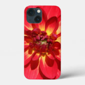 Red Fire Dahlia Blume Case-Mate iPhone Hülle (Rückseite)