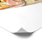 Red Fish Antique Fish Print no. 6 Beach Deco Poster (Ecke)