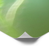 Red Flanders Poppy Poster (Ecke)