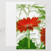 Red Floral (Vorne/Hinten)