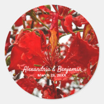 Red Floral Flamboyant personalize Nature