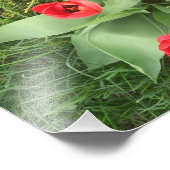 Red Floral Fotodruck (Ecke)