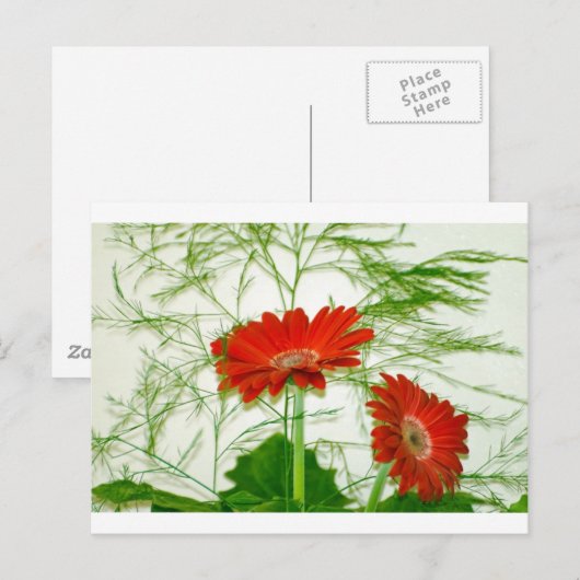 Red Floral Postkarte (Vorne/Hinten)