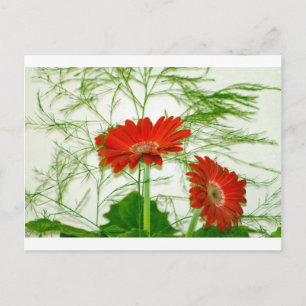 Red Floral Postkarte