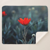Red Flower Dark Night Solitude Art Sherpadecke (Vorderseite (Horizontal))