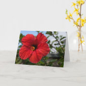 Red Flower Foto von Blank Card Karte (Gelbe Blume)
