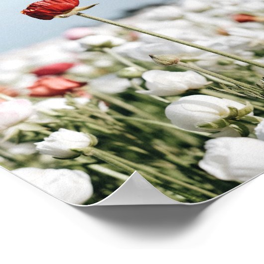 Red flower Print, Value Poster Paper (Semi-Gloss) (Ecke)