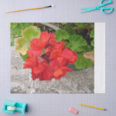 red flower tissue paper seidenpapier (Basteln)