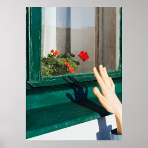 Red flowers on green wooden window poster