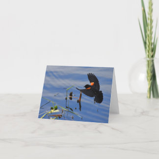 Red-Flügel Blackbird #1 - Blank Note Card Dankeskarte