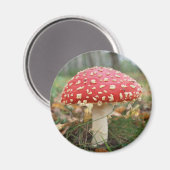 Red Fly Agaric Magnet (Vorderseite/Rückseite)
