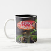 Red Fly Agaric Mushroom in the Forest Zweifarbige Tasse (Links)
