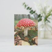Red Fly Agaric Postcard Postkarte (Stehend Vorderseite)