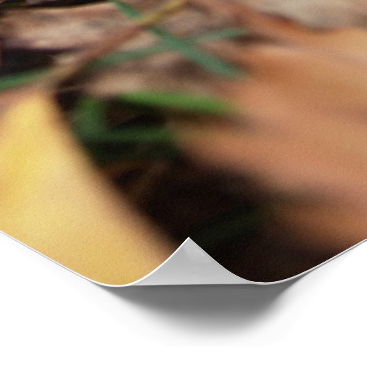 Red Fly Agaric Poster (Ecke)