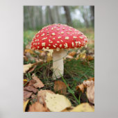 Red Fly Agaric Poster (Vorne)