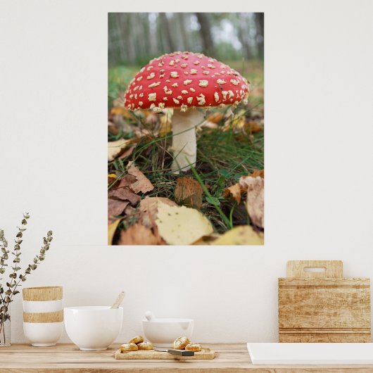 Red Fly Agaric Poster (Küche)