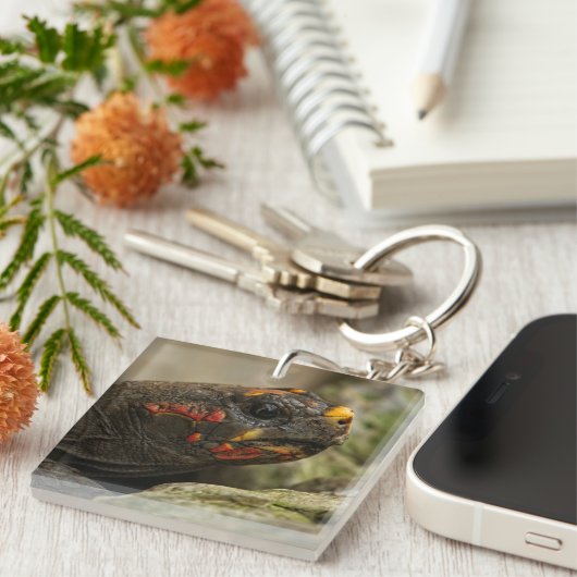Red Footed Tortoise Notebook Schlüsselanhänger (Vorderseite rechts)