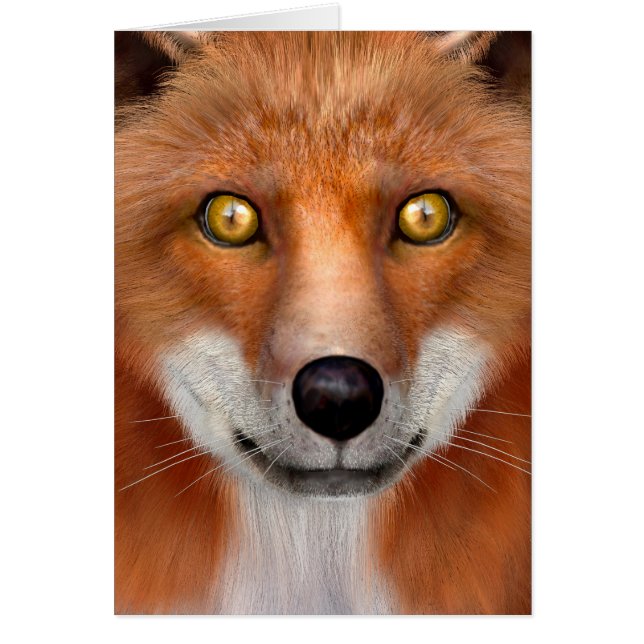 Red Fox (Vorne)