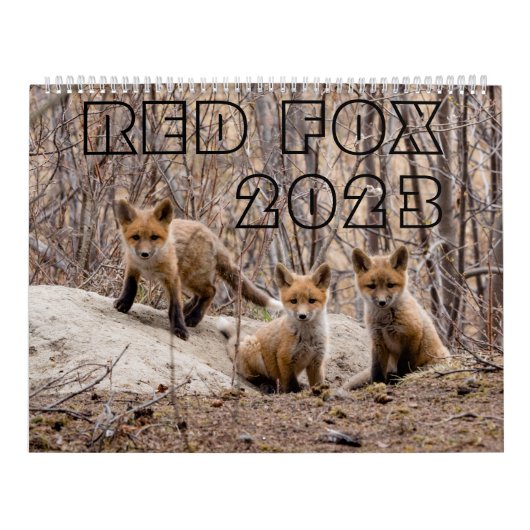 Red Fox 2023 - Kalender (Titelbild)