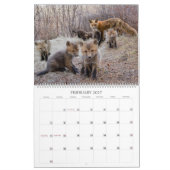 Red Fox 2023 - Kalender (Feb 2027)