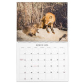 Red Fox 2023 - Kalender (Mär 2026)