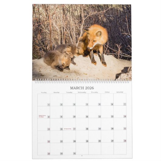 Red Fox 2023 - Kalender (Mär 2026)
