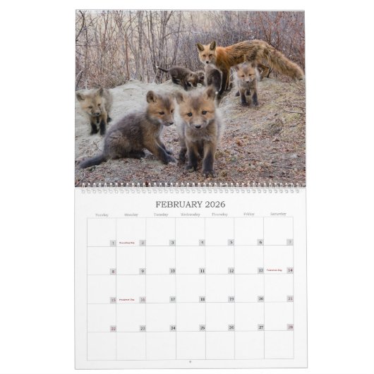 Red Fox 2023 - Kalender (Feb 2026)