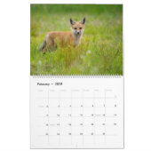 Red Fox 2025 Kalender (Feb 2025)