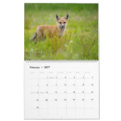 Red Fox 2025 Kalender (Feb 2027)